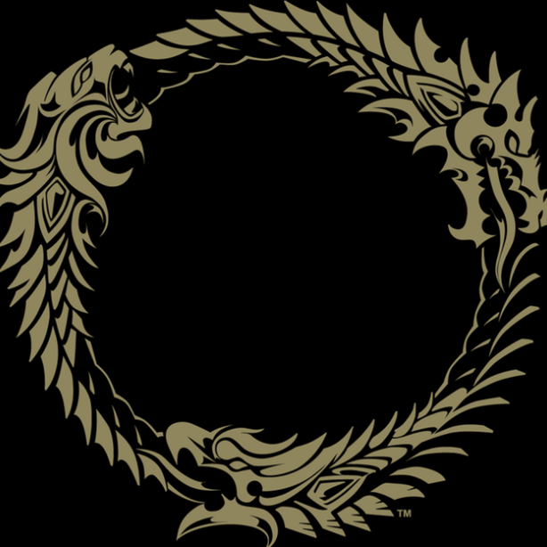 Heripsa's profile picture. Seul serveur privé actuel du fameux jeu The Elder Scrolls Online.