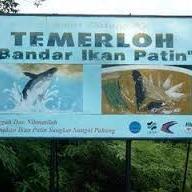 Info mengenai Bandar Temerloh Pahang