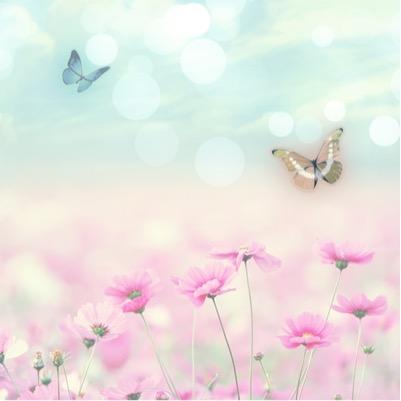 Cinderella_seri's profile picture. ✩⋆✩⋆✩⃛きらきらのちゅーがくさんねんせい✩⃛⋆✩⋆✩ ʚ♡I LOVE CINDERELLA.MAKE.MUSICᵃⁿᵈEATIMG♡ɞ *̣̩⋆̩̩*̣̩⋆̩*̣̩BECOME PRESIDENT IN THE FUTURE*̣̩⋆̩*̣̩⋆̩*̣̩