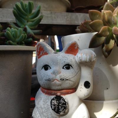デザイン屋、潜り屋、服屋、宿屋、web系事務屋と転職経験豊富。Artと海とお酒をこよなく愛す。