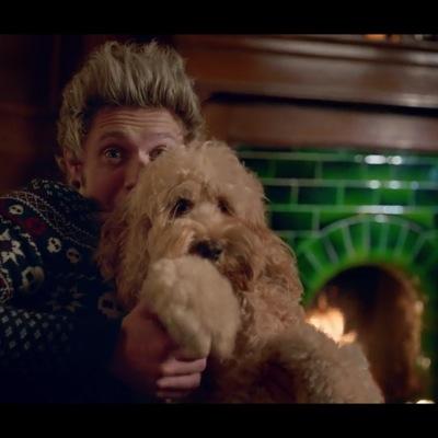 Follow me on Inst: 1d_you_are_the_best!! ❤️❤️ german girl scout | will go to Jamboree in Japan 2015 | fave Niall | fan girl 1D & 5sos |