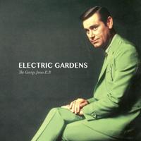 Electric Gardens (@lctrcgrdns) 's Twitter Profile