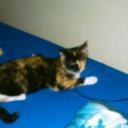 Chris Maskell - @18ee61a0b406400 - Twitter