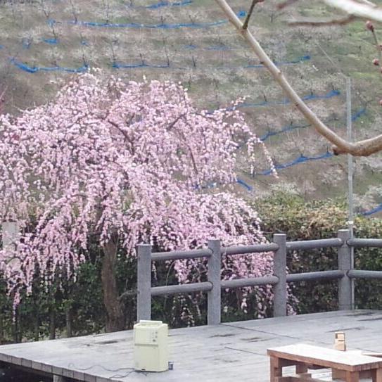 king6142002's profile picture. 