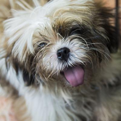 budz_05's profile picture. 