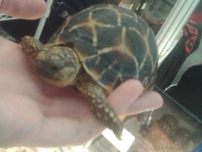 angelika_kesya's profile picture. thanks GOD for everything ({})