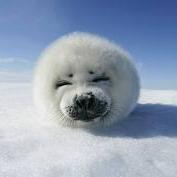 Braisuneno's profile picture. 