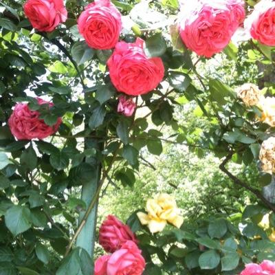 Teach_Drama's profile picture. Head of Drama in a comprehensive school