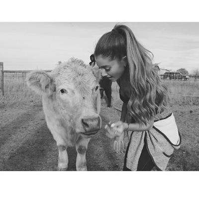 Ariana Grande fan acc