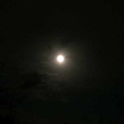 広島住み。
エロ垢。
♂