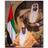 al3bedy1945's profile image