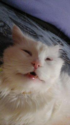 99Julya_smile's profile picture. Знала бы я кто я и что здесь делаю, написала бы.