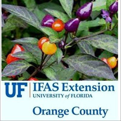 Get great tips on gardening, landscaping, and the environment for Central Florida from the University of Florida/IFAS Extension Orange County.