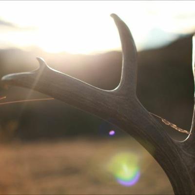 The Brothers Hunt Profile