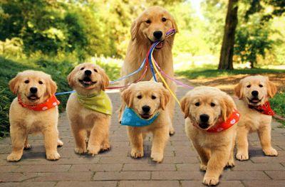 MolokaiHi's profile picture. 