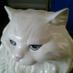 CoolcatWon (@coolcatwon) Twitter profile photo