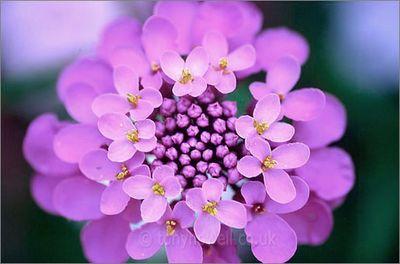 Making a hundred friends is not a miracle. The miracle is to make one single friend who will stand by your side even when hundreds are against you 😀