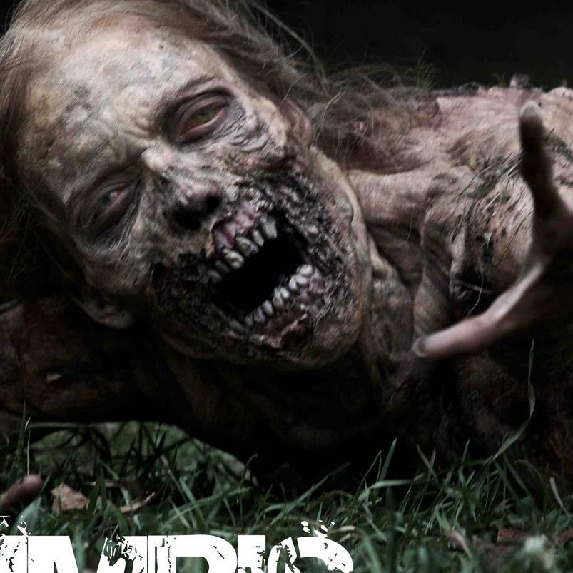 xbox5tf's profile picture. 