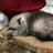 GaleM_writes's profile image
