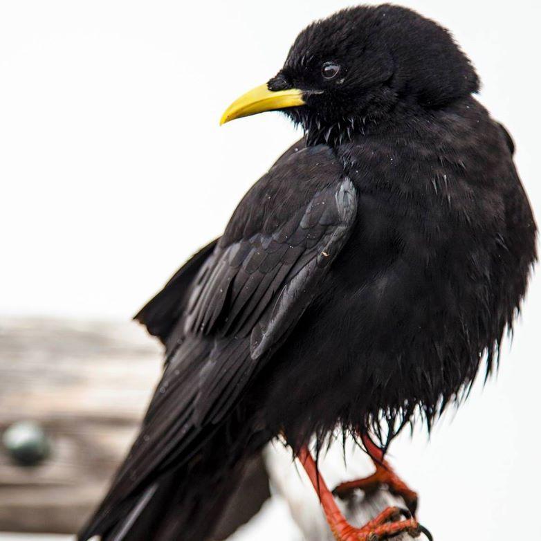 EgoEndsNow's profile picture. Community for expanding consciousness with science, self actualization, philosophy, psychology and overcoming identification with compulsive thought.