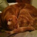 Olivia Watts - @orwatts - Twitter