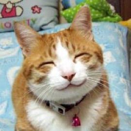 ブログ http://t.co/apmwkbyGrH