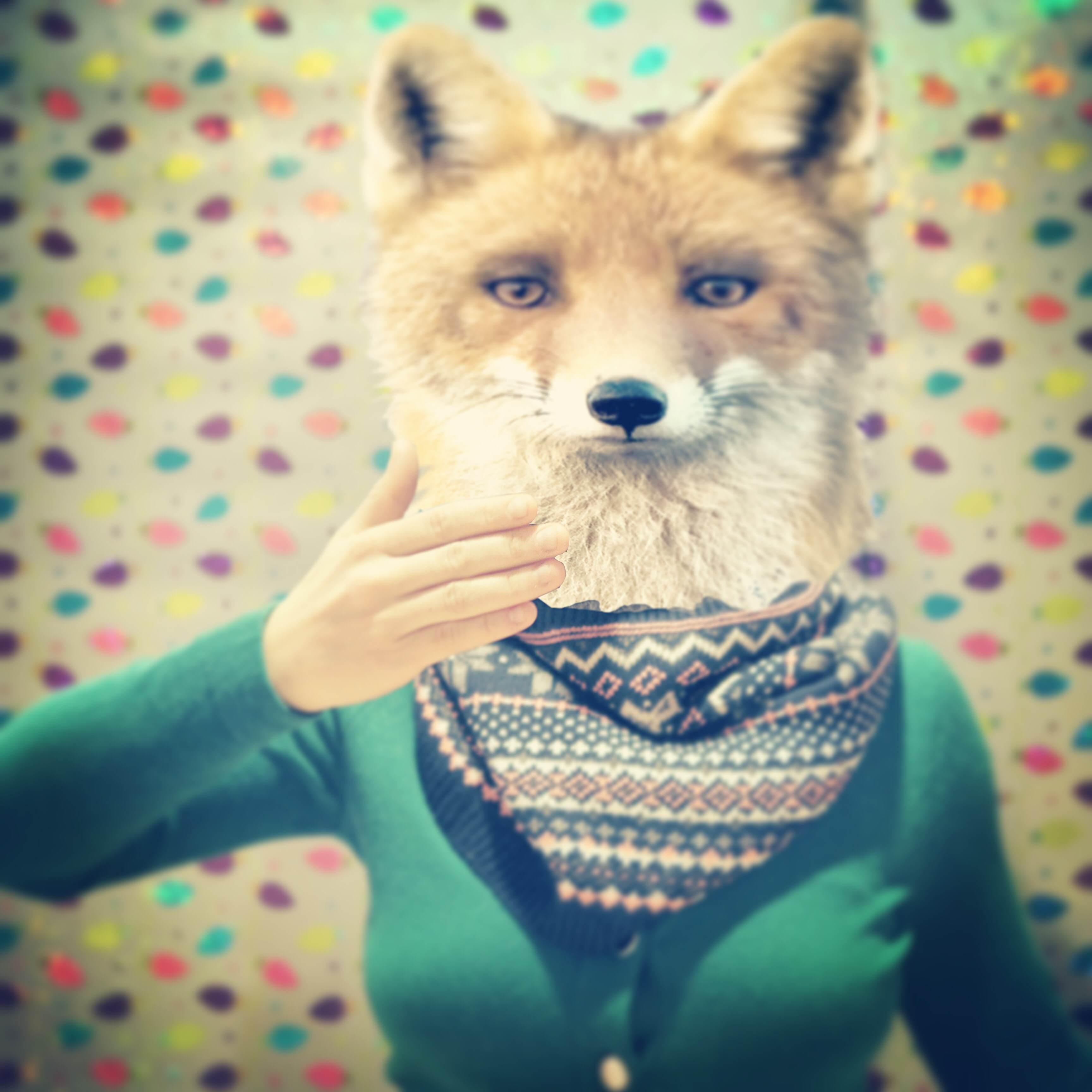 giftfoxx's profile picture. Foxx lets you share & secretly request gift wishlists. New startup. Made in LA.