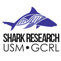 USM Shark Research(@USMSharkLab) 's Twitter Profile Photo