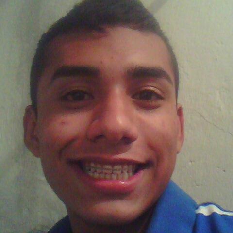 corazon animal 100%
