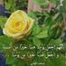 الكابتن/حماده المصري (@aliali66666681) Twitter profile photo الكابتن/حماده المصري (@aliali66666681) Twitter profile photo