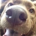 Danielle Stacy - @deeee_stacy - Twitter