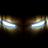 D_Koekemoer's profile image