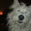 Tony Taylor-Smyth - @T0ny3768 - Twitter