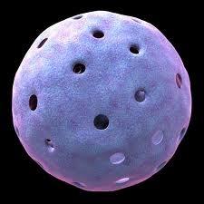 I'm the nucleus. A vital organelle for multicellular organisms, so if you're a multicellular orgnaism then you need me! vote #nucli2015