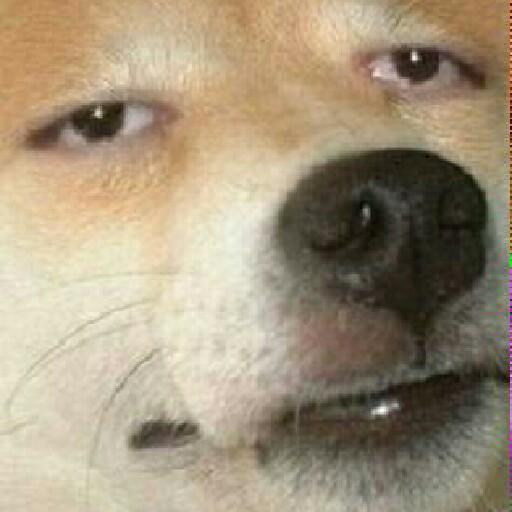 BadPolvo's profile picture. Hay cosas mas importantes; como los sentimientos, por eso El primero es gratis