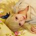 ゆうあ (@yu_a72844) Twitter profile photo