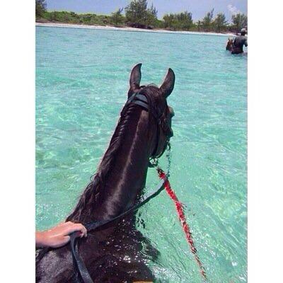 •﷽• new acc!!