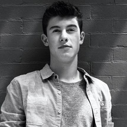 i love with all my heart Shawn Mendes, is Awesome,perfect,beautiful,perfect,singer,perfect,her voice is incredible,beautiful,perfect,and  i´m proud of he..