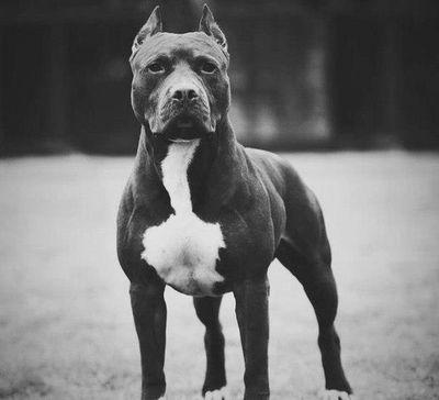 ternowij's profile picture. Предлогаю работу в интернете, интересно пиши в ЛС!