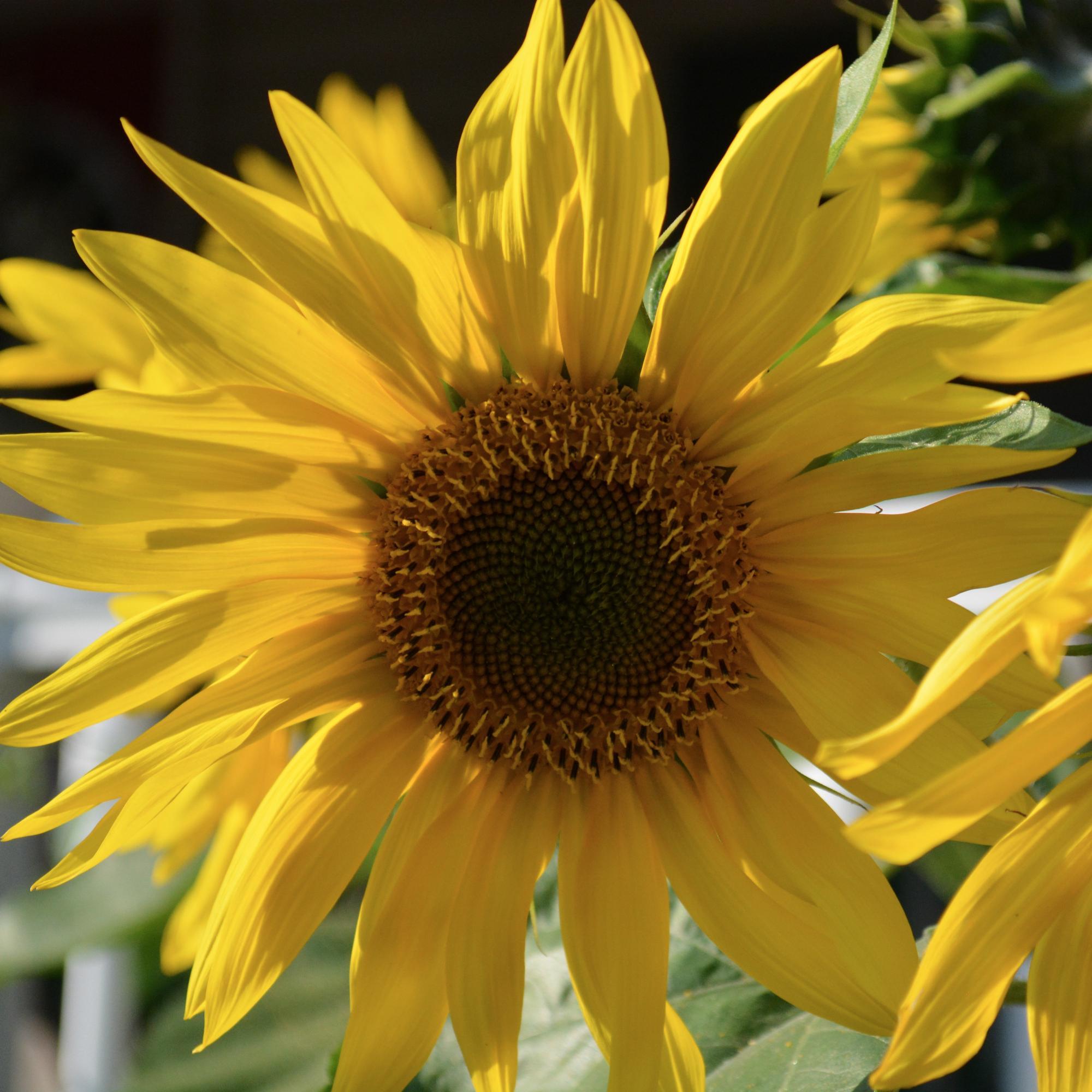 Luv2studydword's profile picture. 