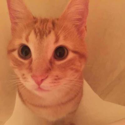 joycehyx1's profile image