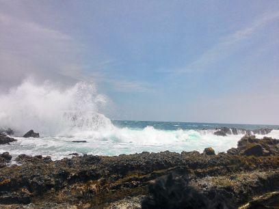 GLpixlM's profile picture. 