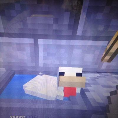 nanakamado713a's profile picture. たまにツイートしてます(・ω・｀=)ゞ