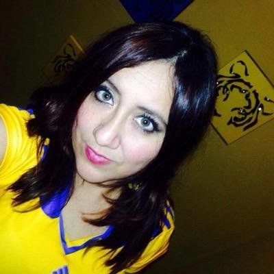 🐯💛💙