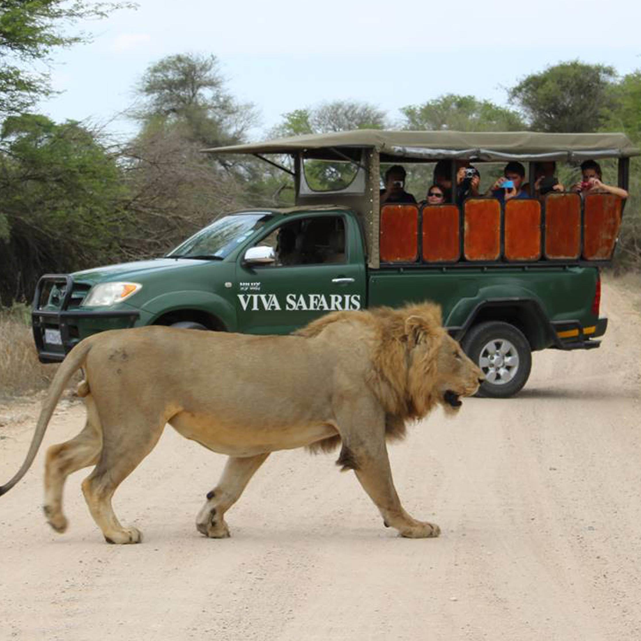 vivasafaris's profile picture. Choose Viva Safaris for an unforgettable Kruger Park Safari! Daily departures, 365 days a year! For booking enquiries email webmaster@vivasafaris.com