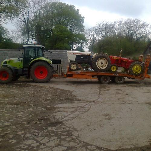 BowdenAled's profile picture. 