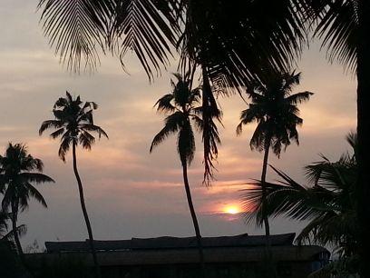 pratibhasinghS's profile picture. 