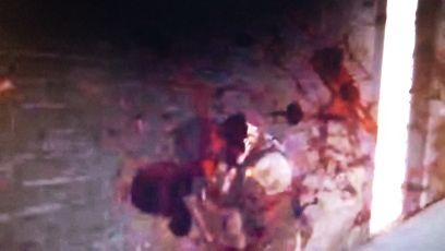 7e834ba4f146403's profile picture. Pro Gamer