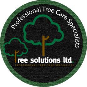 treesolutionsIE's profile picture. 