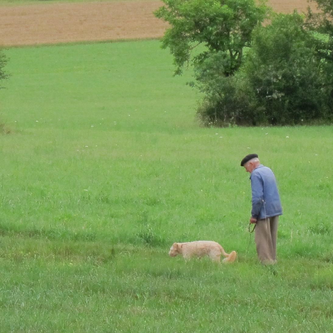 informeert, inspireert en enthousiasmeert over de gebeurtenissen in Les Combis, de omgeving van St Germain du Bel Air, #SGdBA , het departement #Lot, de #Quercy